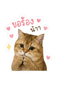 846633707