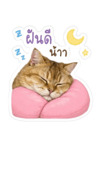 846633710