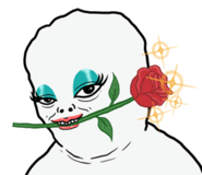 846633794