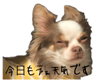 846648521