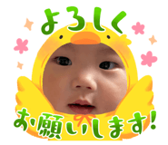 846648548