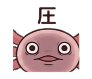 846648591