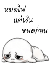 846649665
