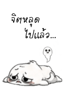 846649667