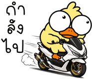 846651034