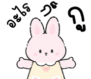846656186