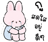 846656194