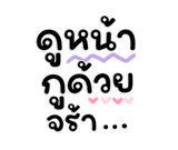 846656546