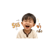 846657911