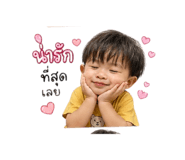 846657916