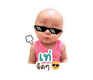 846658116