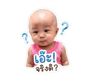 846658117