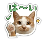 846659418