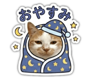 846659423