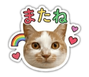 846659424