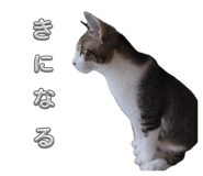846659481