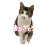 846659493