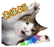 846659495