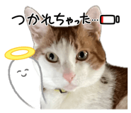 846659905