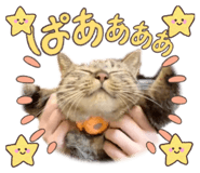 846659908