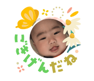 846660797