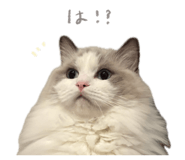 846661014