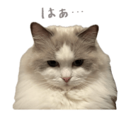 846661019