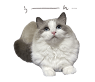 846661020