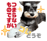846661141