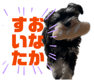 846661149