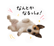 846661367