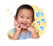 846662956