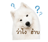 846665312
