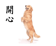 846666902