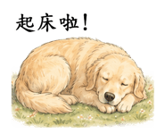 846666903