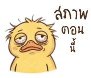 846668724