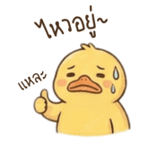 846668725