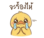 846668729