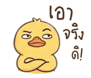846668730