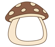 846669907