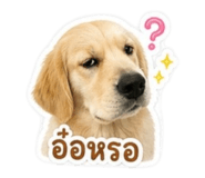 846674564