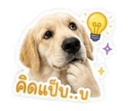 846674570