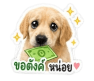 846674582