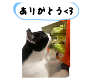 846674920