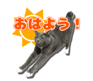 846674993