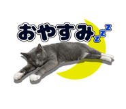 846674994