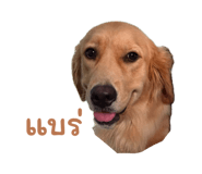 846675025