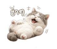 846676249