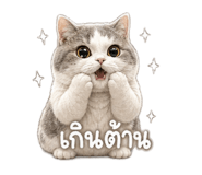 846676250