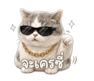 846676251